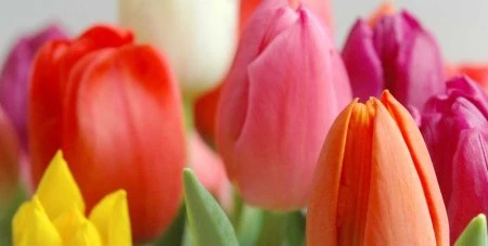Coaching, Personal-Coaching, Life-Coaching